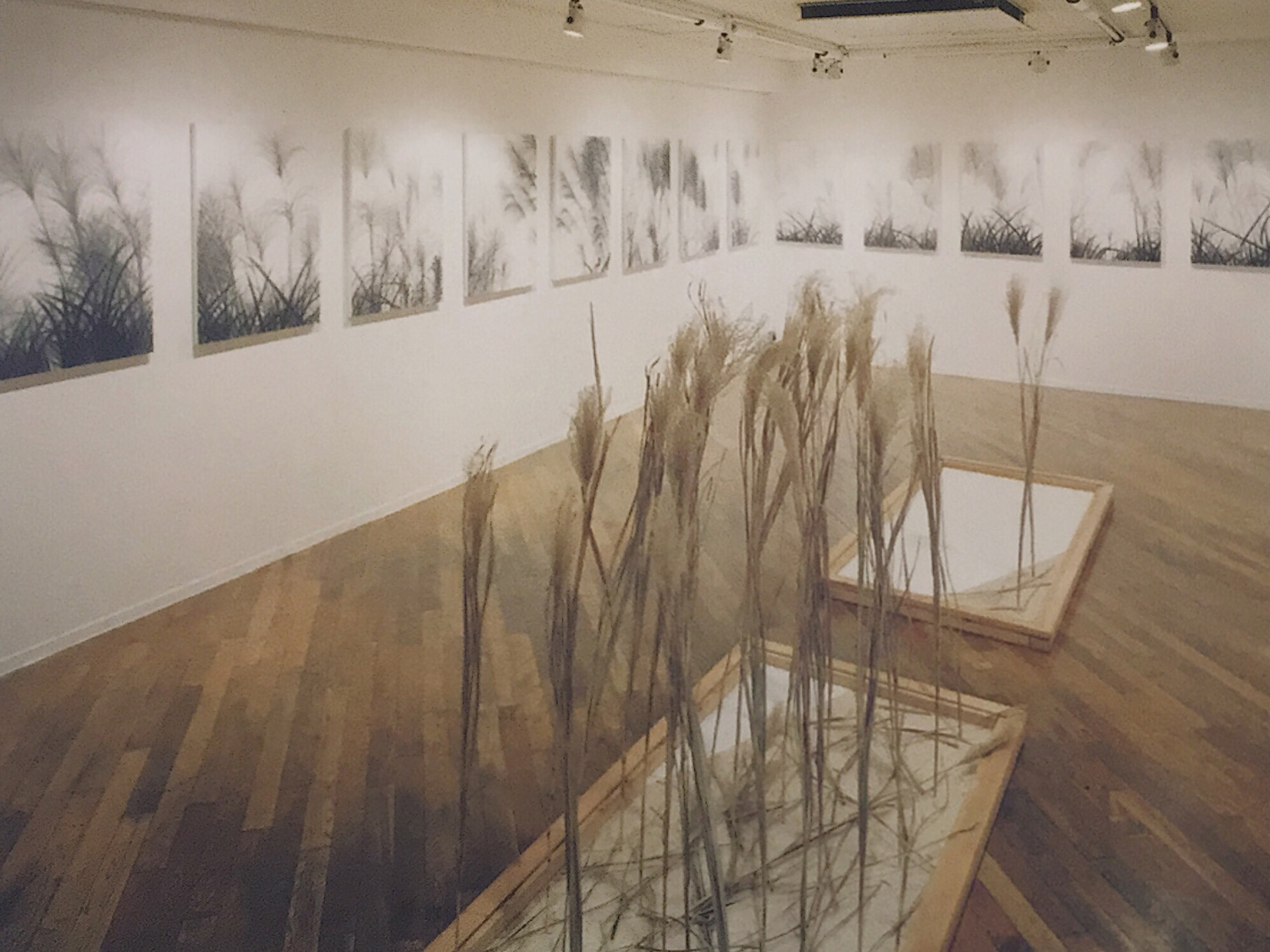1992年9月開催 個展「秋」より展示風景