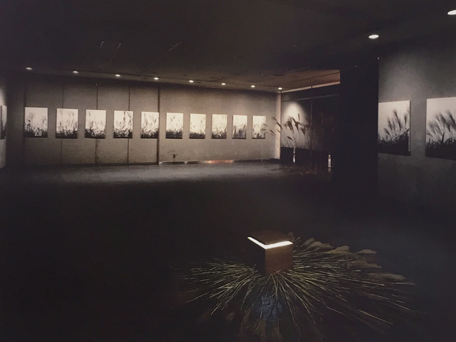 1999年11月開催 個展「光と影II-秋宴-」より展示風景