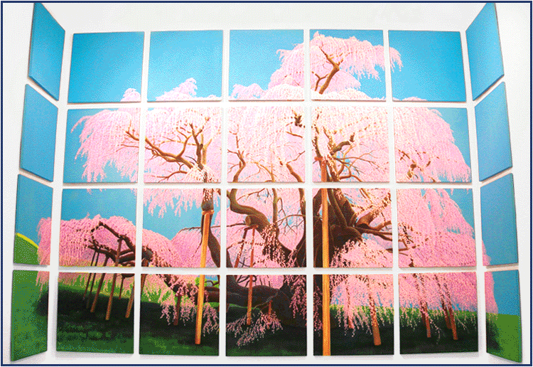 「滝桜」